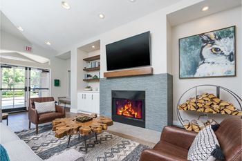 Clubroom with tv and fireplace